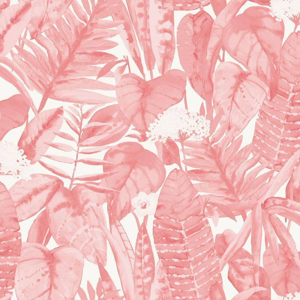 Pink and Green Leaf Wallpapers Top Free Pink and Green Leaf