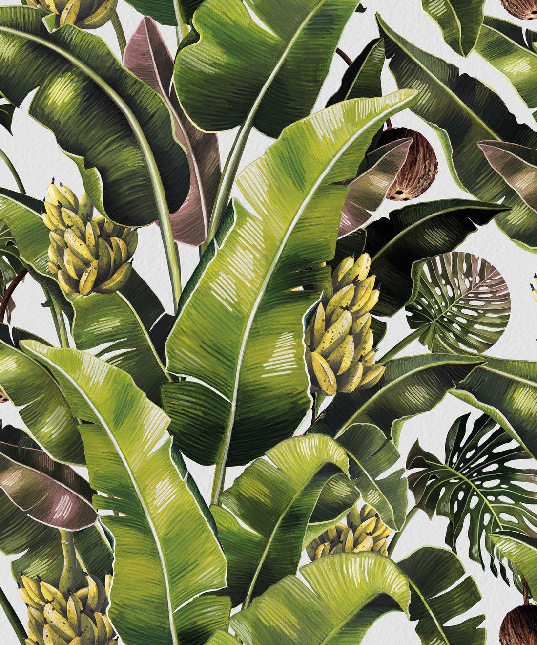 1100x1320 Kingdom Palm Wallpaper • Banana Leaf