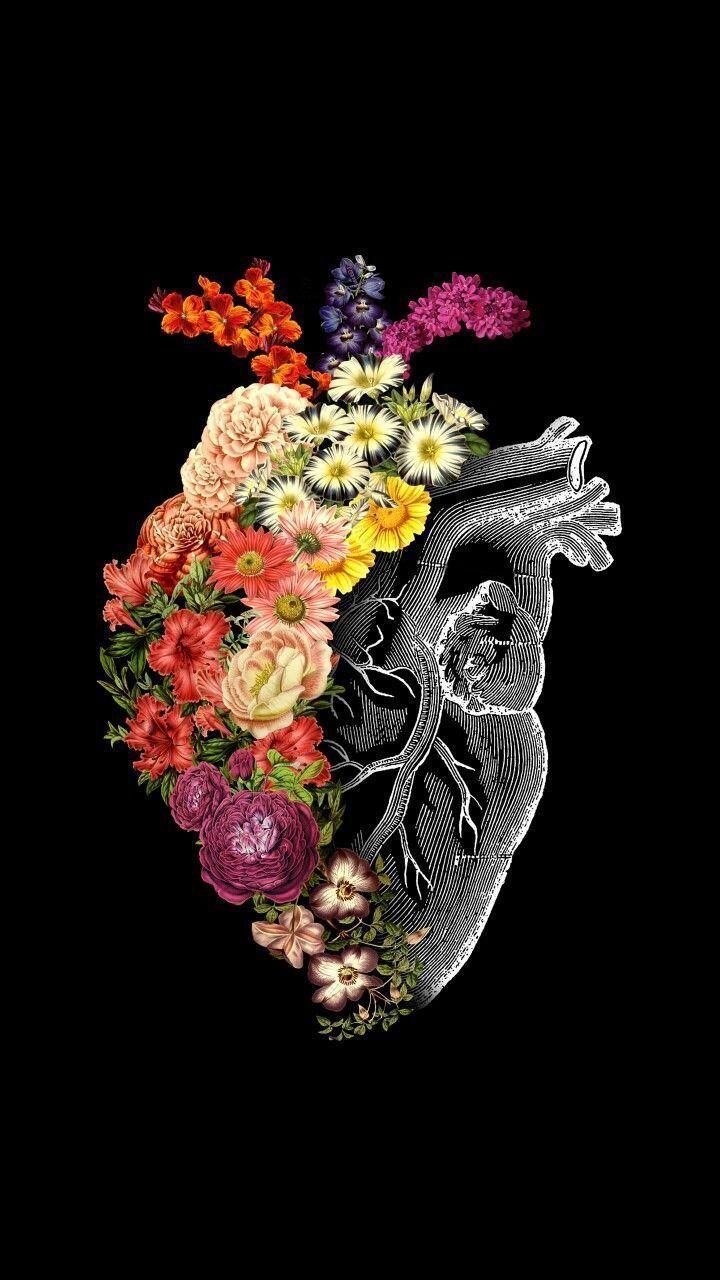 720x1280 Fashion Quotes : Fonds d'écran et Wallpaper - #celular #para #wallpaper - #aerial #air Fashion. Leading Hipster style & Fashion Magazine, Making Fashion pop
