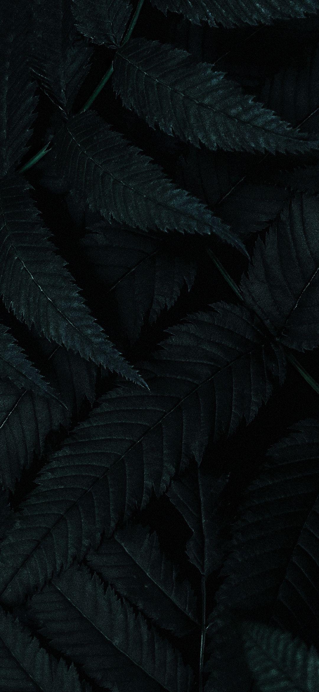 1080x2340 Dark Phone Wallpaper 355 - [1080x2340]