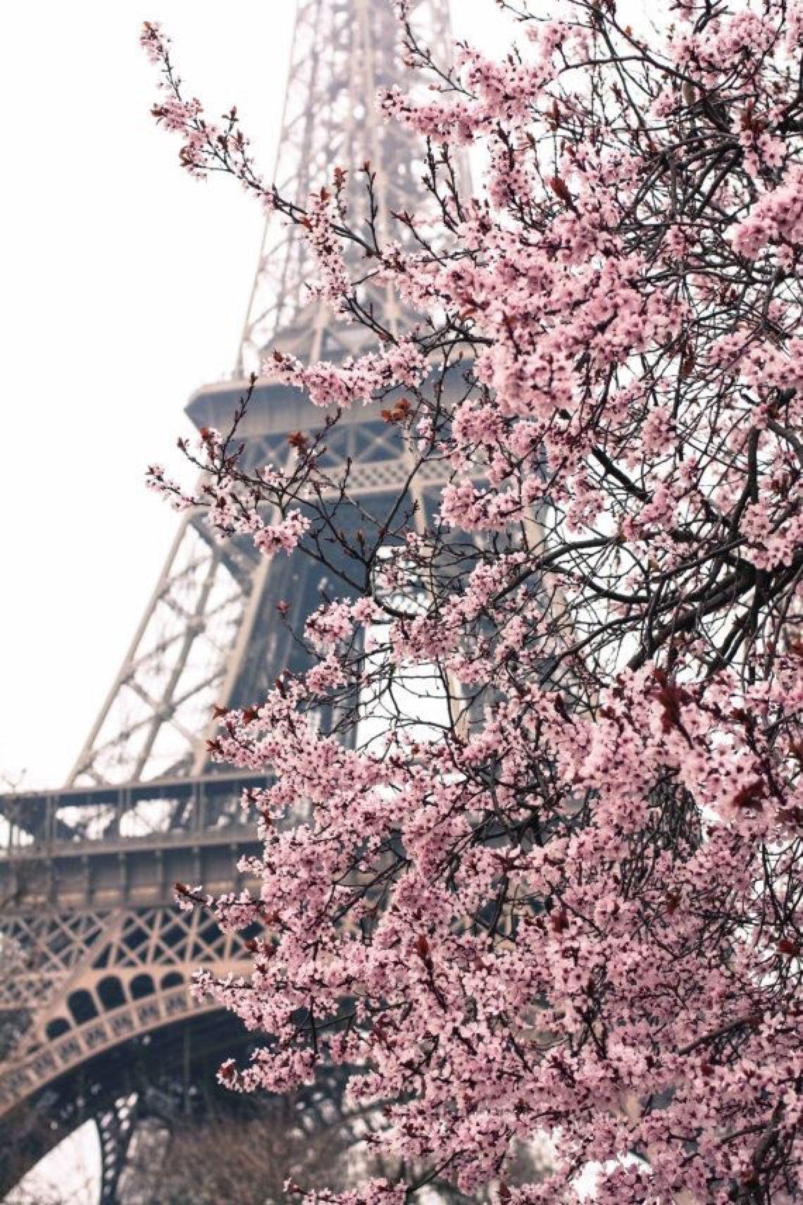 Paris in Spring Wallpapers - Top Free Paris in Spring Backgrounds ...