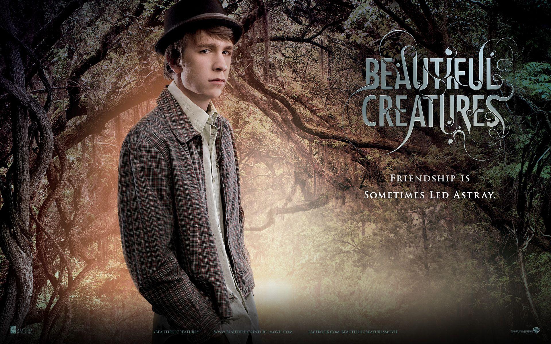 1920x1200 Free download Beautiful Creatures Wallpaper Beautiful Creatures Movie Wallpaper [1920x1200] for your Desktop, Mobile & Tablet. Explore Beautiful Creatures Wallpaper. Beautiful Creatures Wallpaper, Creatures Wallpaper, Mythical Creatures Wallpaper