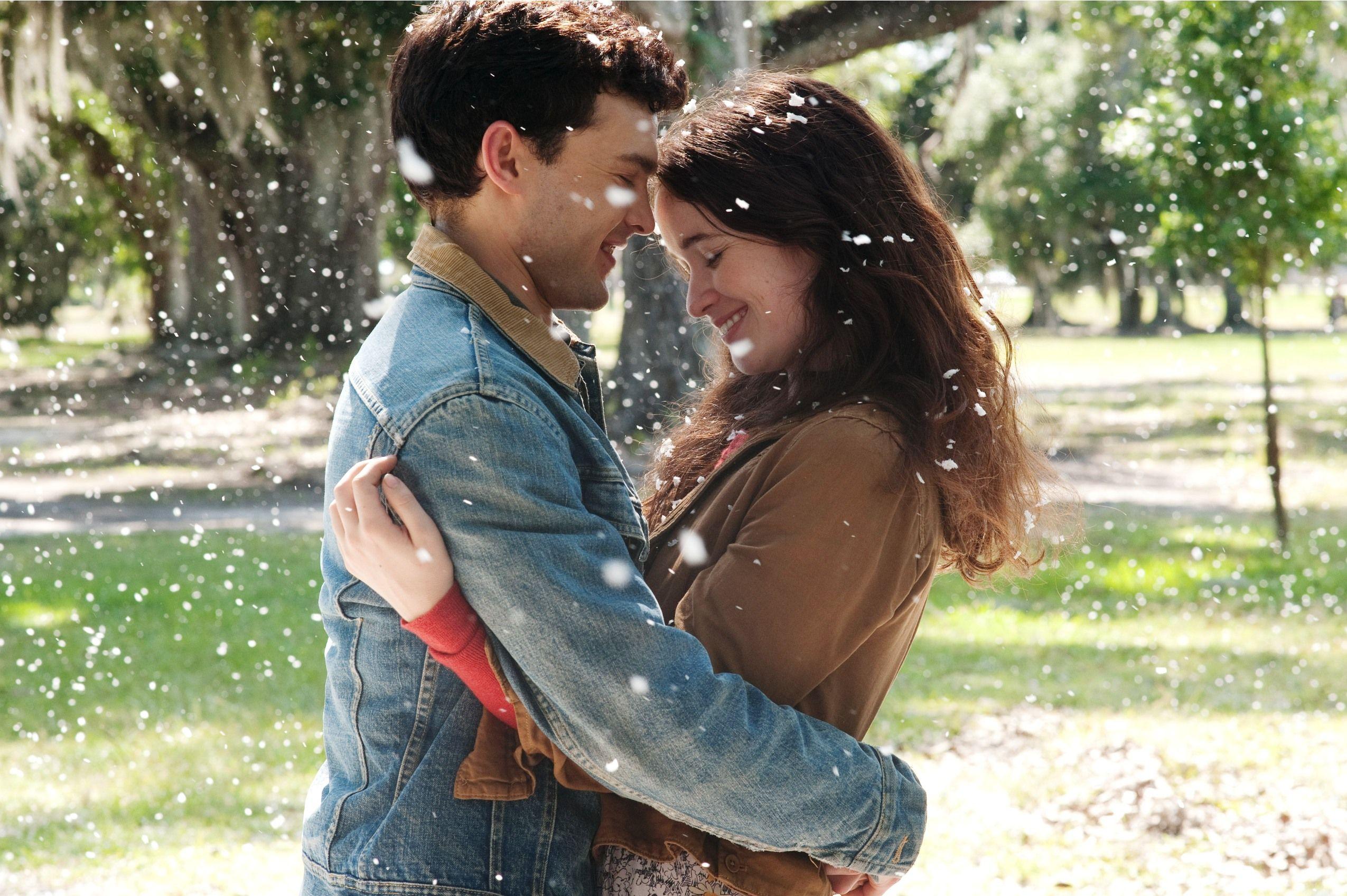 2550x1697 2550x1697 beautiful creatures HD background