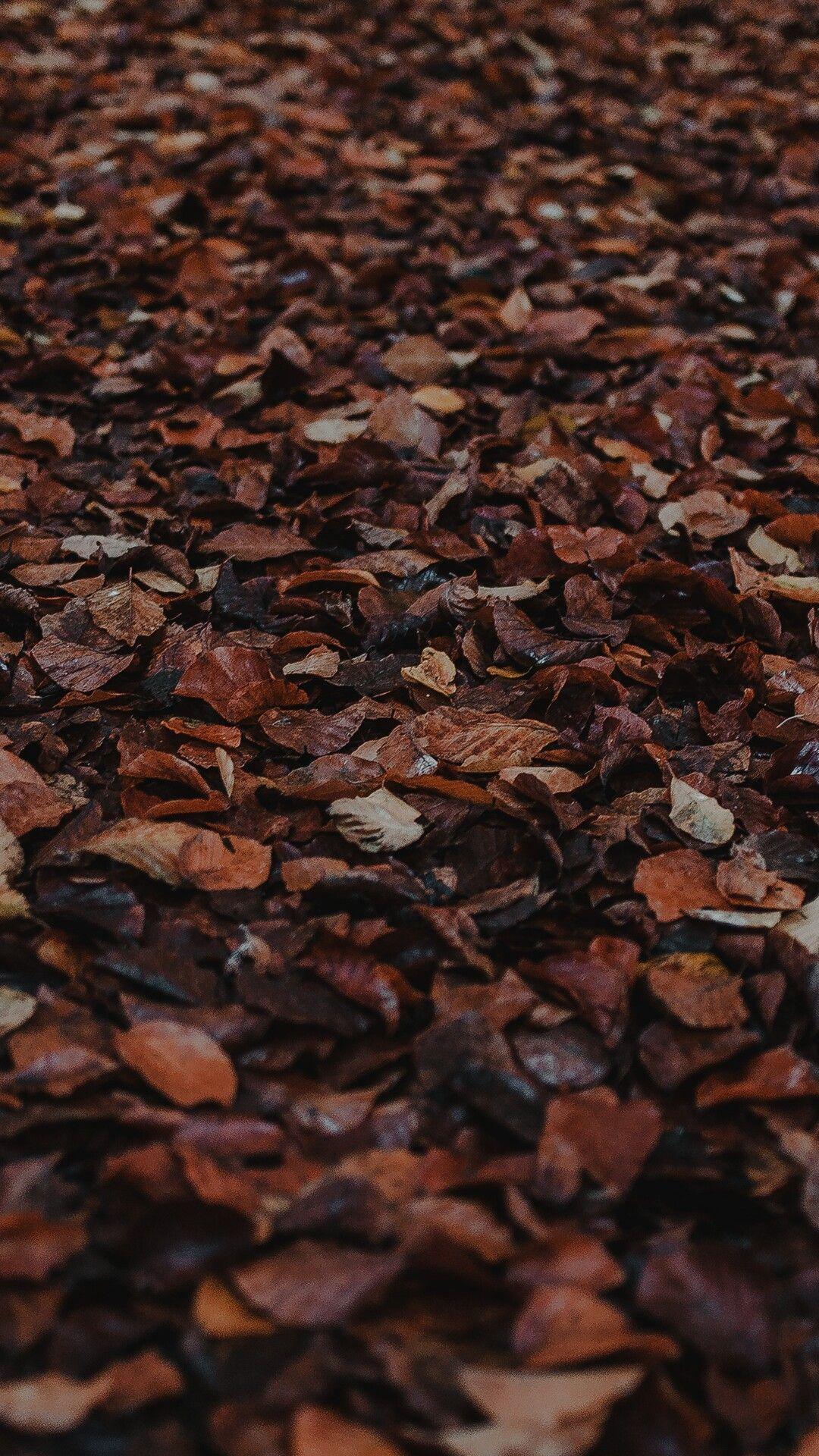 1080x1920 Brown Aesthetic Wallpaper