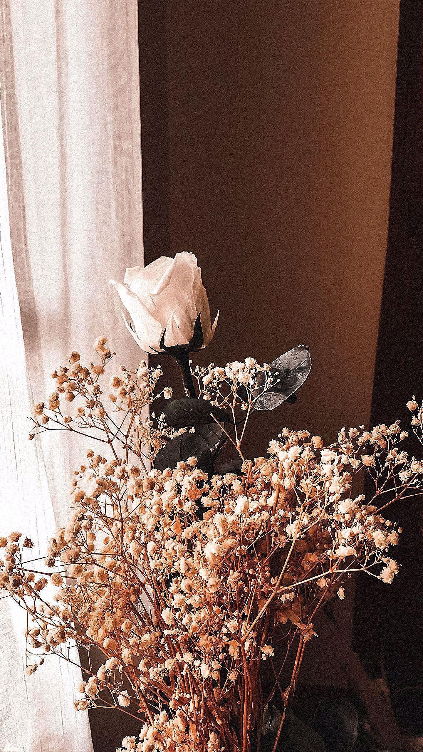1440x2560 New Light Brown Aesthetic Wallpaper .