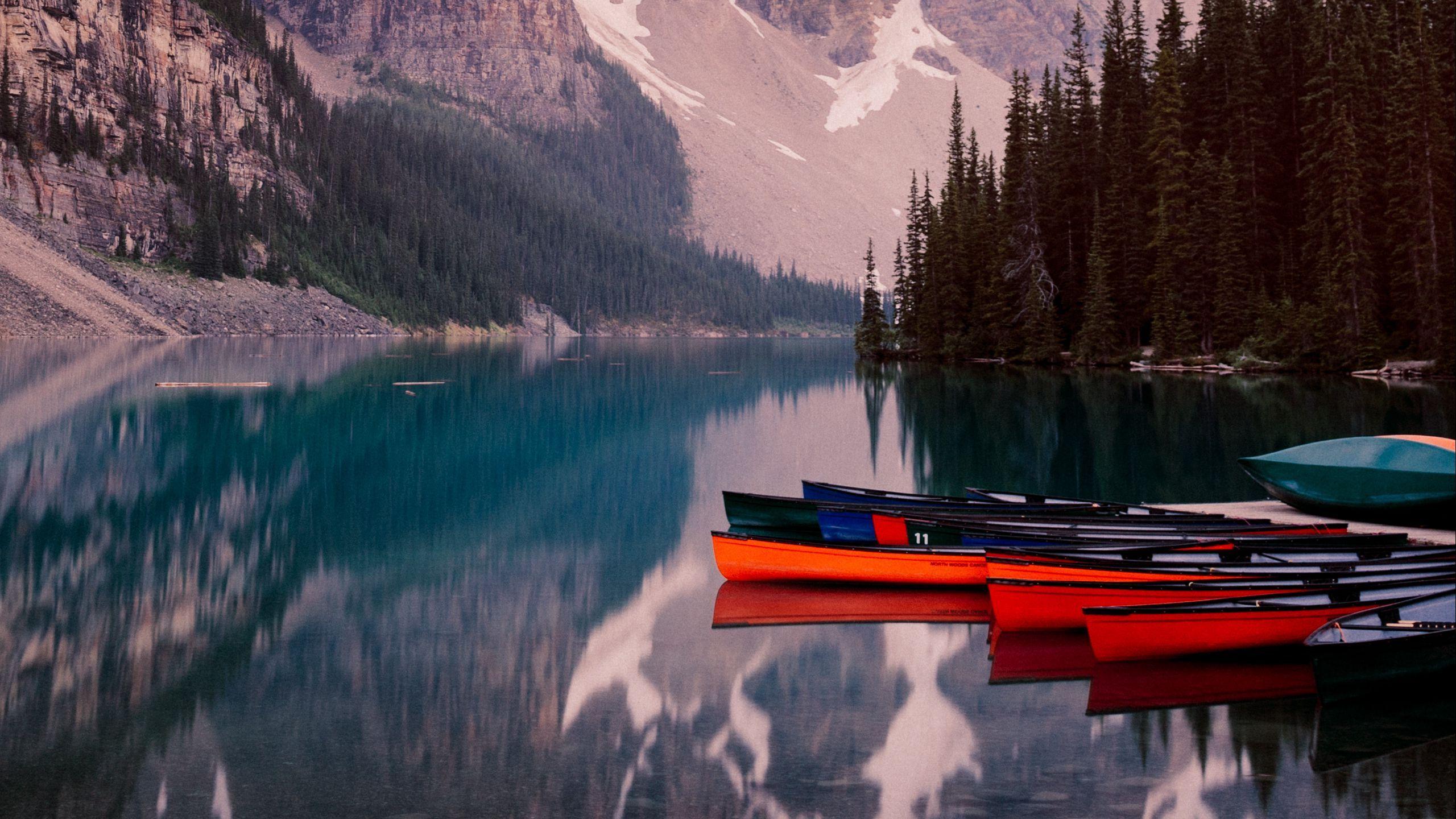 2560x1440 Canoe In Spring Wallpaper