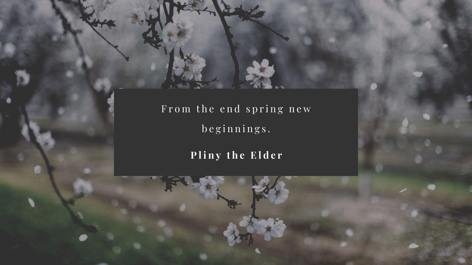 1600x900 spring desktop wallpaper templates