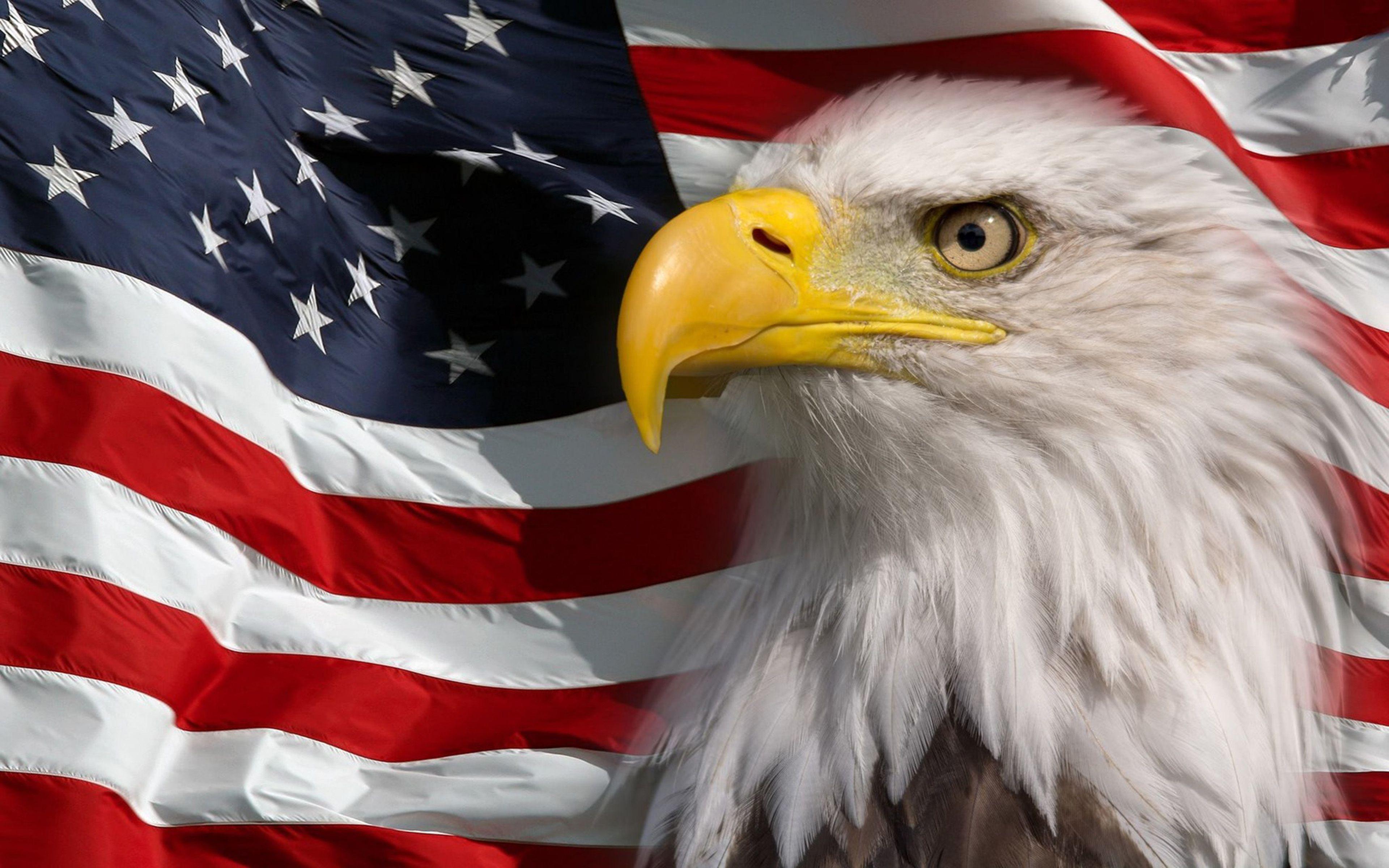 Bald Eagle Flag Wallpapers - Top Free Bald Eagle Flag Backgrounds ...