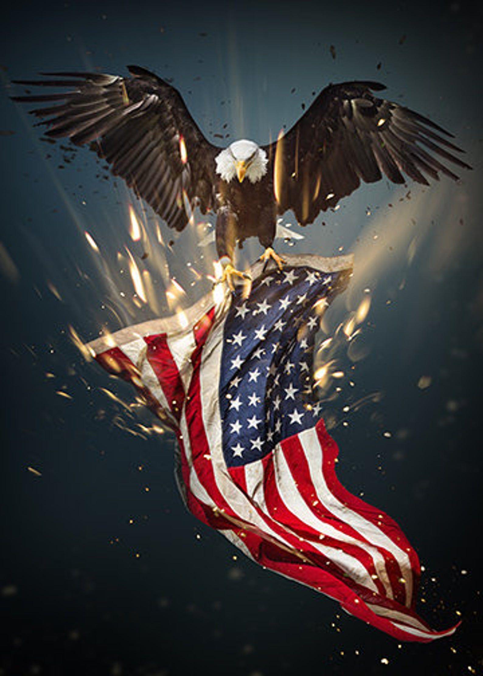 1588x2223 Bald Eagle American Flag Door Decoration Decor Covers Posters Door Covers Decor Ideas 4th. American flag wallpaper, American flag art, Eagle wallpaper