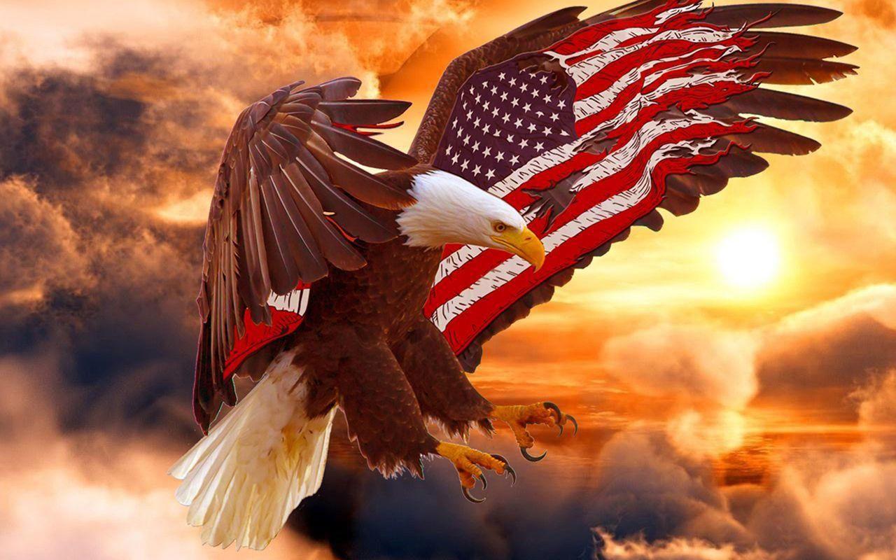 1280x800 Eagle American Flag Desktop Background .