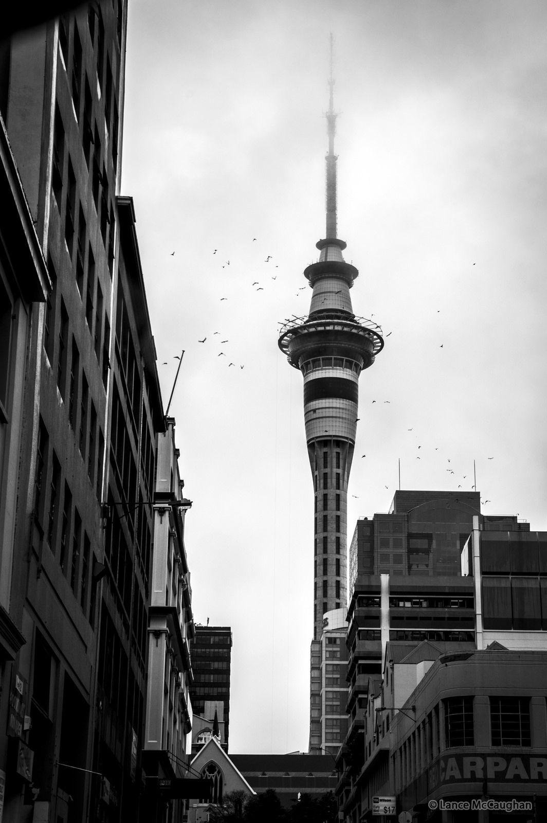 1064x1600 Auckland City Sky Tower. Auckland city, New zealand houses, New zealand cities