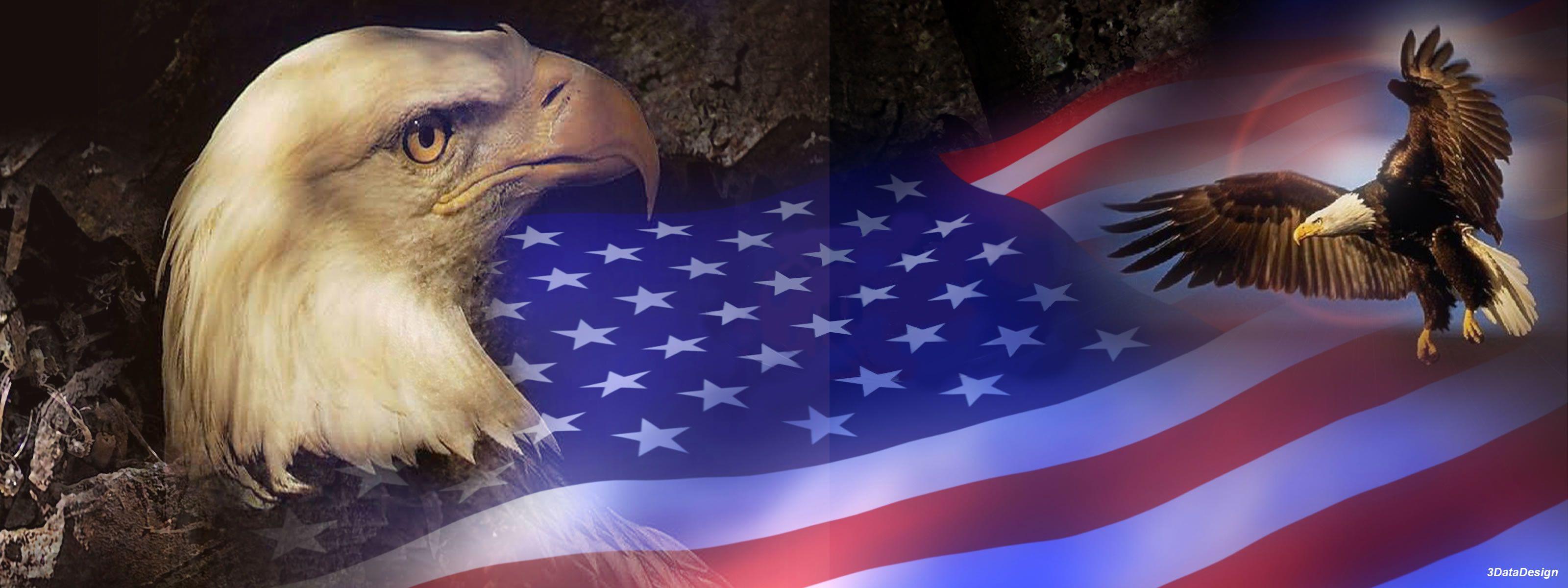 3200x1200 American Bald Eagle Wallpaper background picture