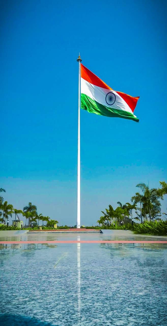 657x1280 Indian National Flag wallpaper