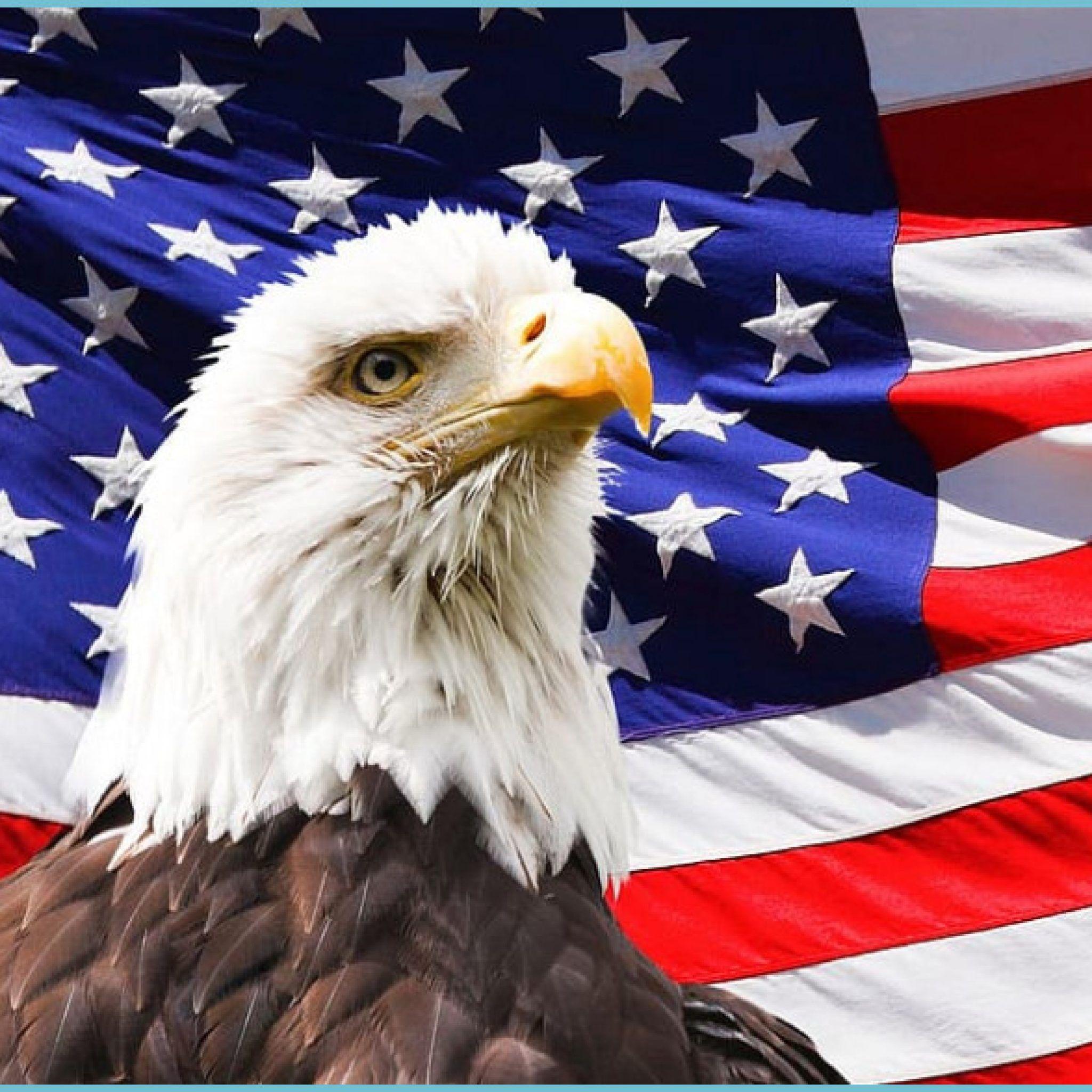 2048x2048 HD Wallpaper: Bald Eagle And American Flag, U.S