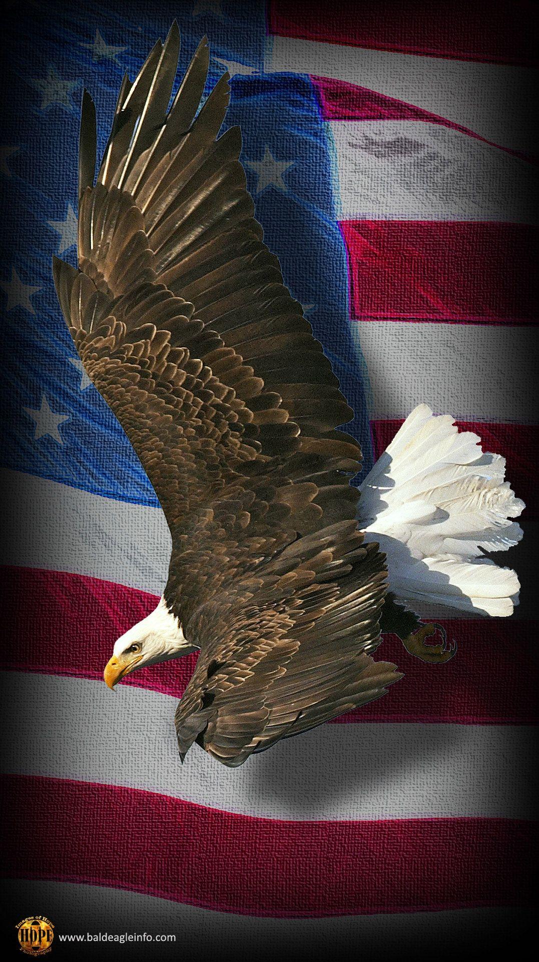 1077x1920 Bald Eagle Flag Wallpaper .