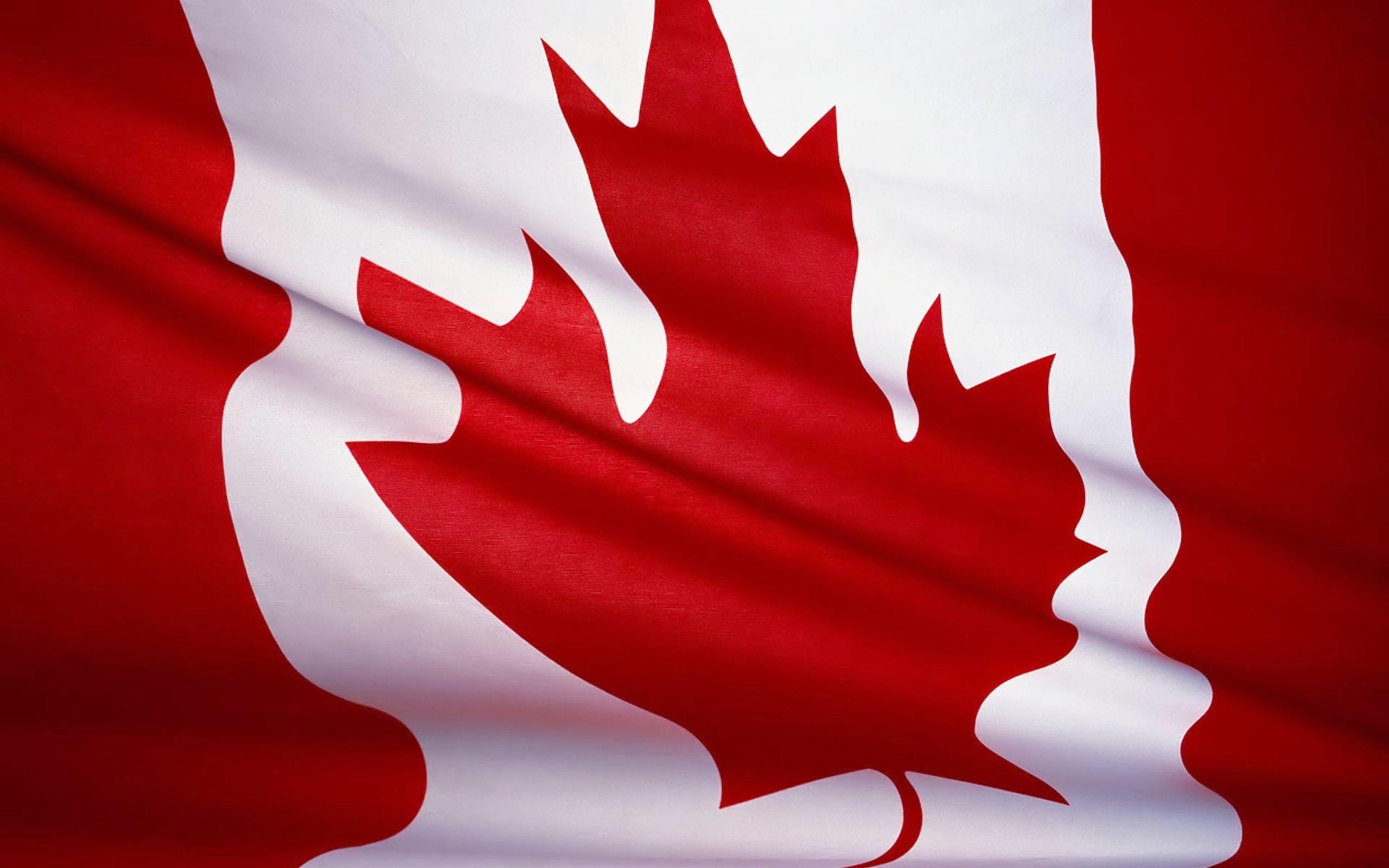 2560x1600 Wallpaper 4k Canada National Flag Canada, Flag, National, Shanghai