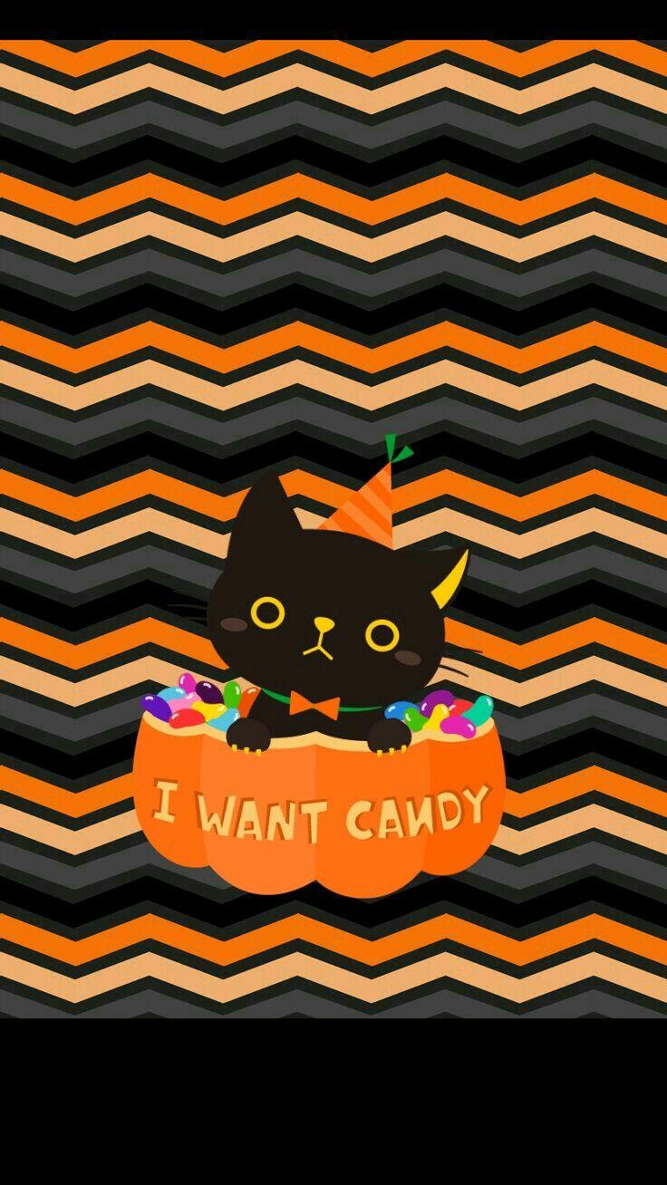 736x1308 Cute Halloween Wallpaper