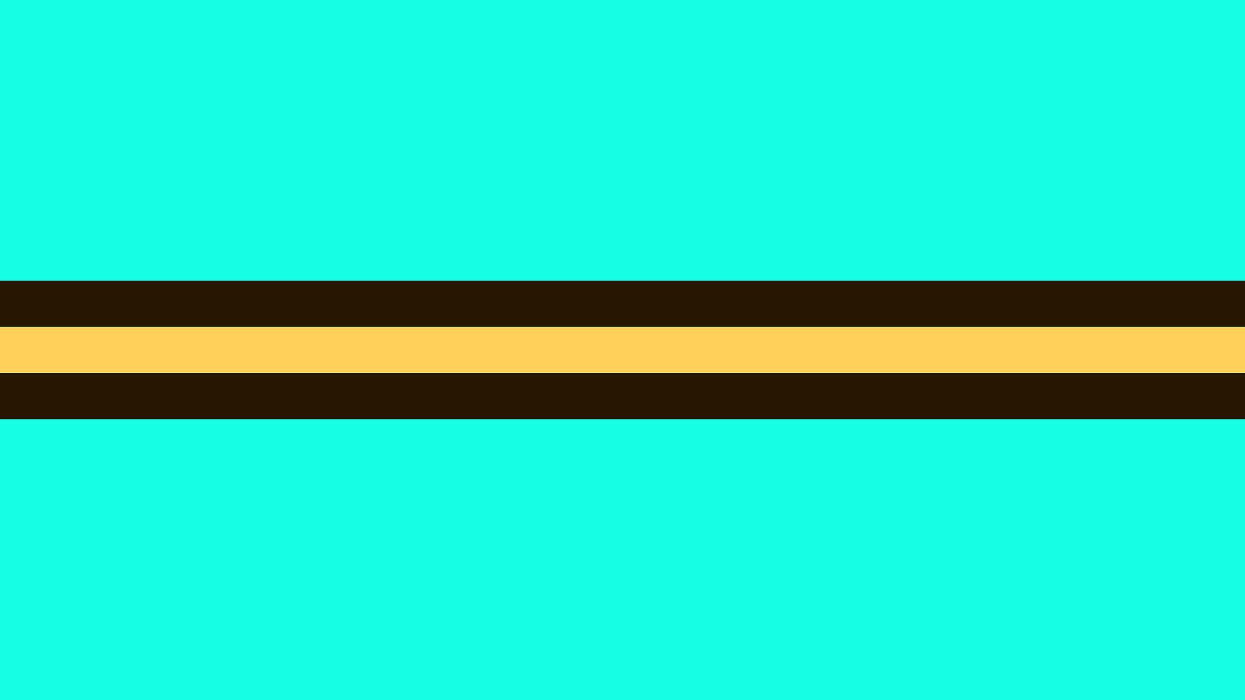 2560x1440 Download wallpaper 2560x1440 line, strip, minimalism, turquoise, black, yellow widescreen 16:9 HD background