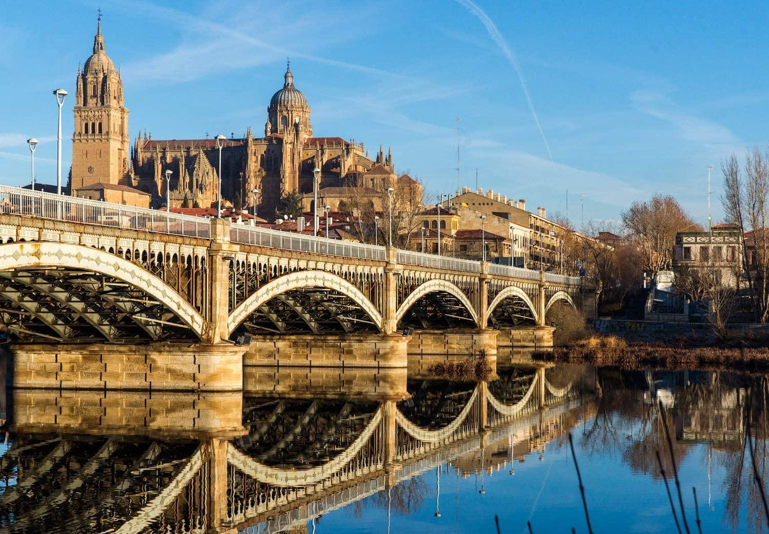 1500x1041 Wall26 Of City Of Salamanca, Spain Wall Mural. Self Adhesive Large Wallpaper Inches