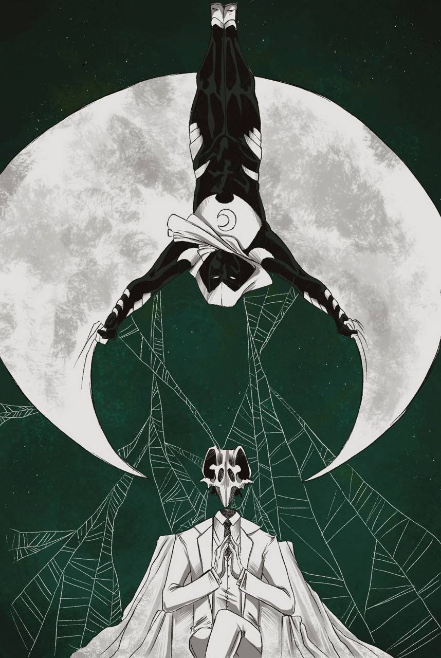 858x1280 Moon Knight wallpaper