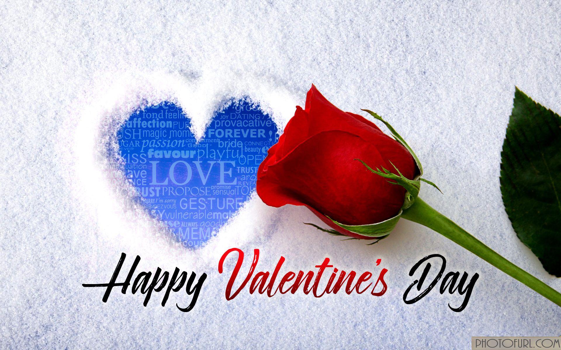 1920x1200 Free download Happy Valentines Day HD Wallpaper Happy Valentines Day 2019 [1920x1200] for your Desktop, Mobile & Tablet. Explore Happy Valentine's Day Wallpaper Background. Free Valentine Wallpaper