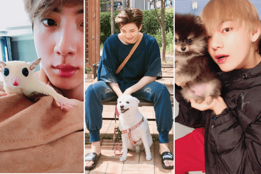 1098x732 BTS members love their pets and post cute dog photo to Instagram just like us