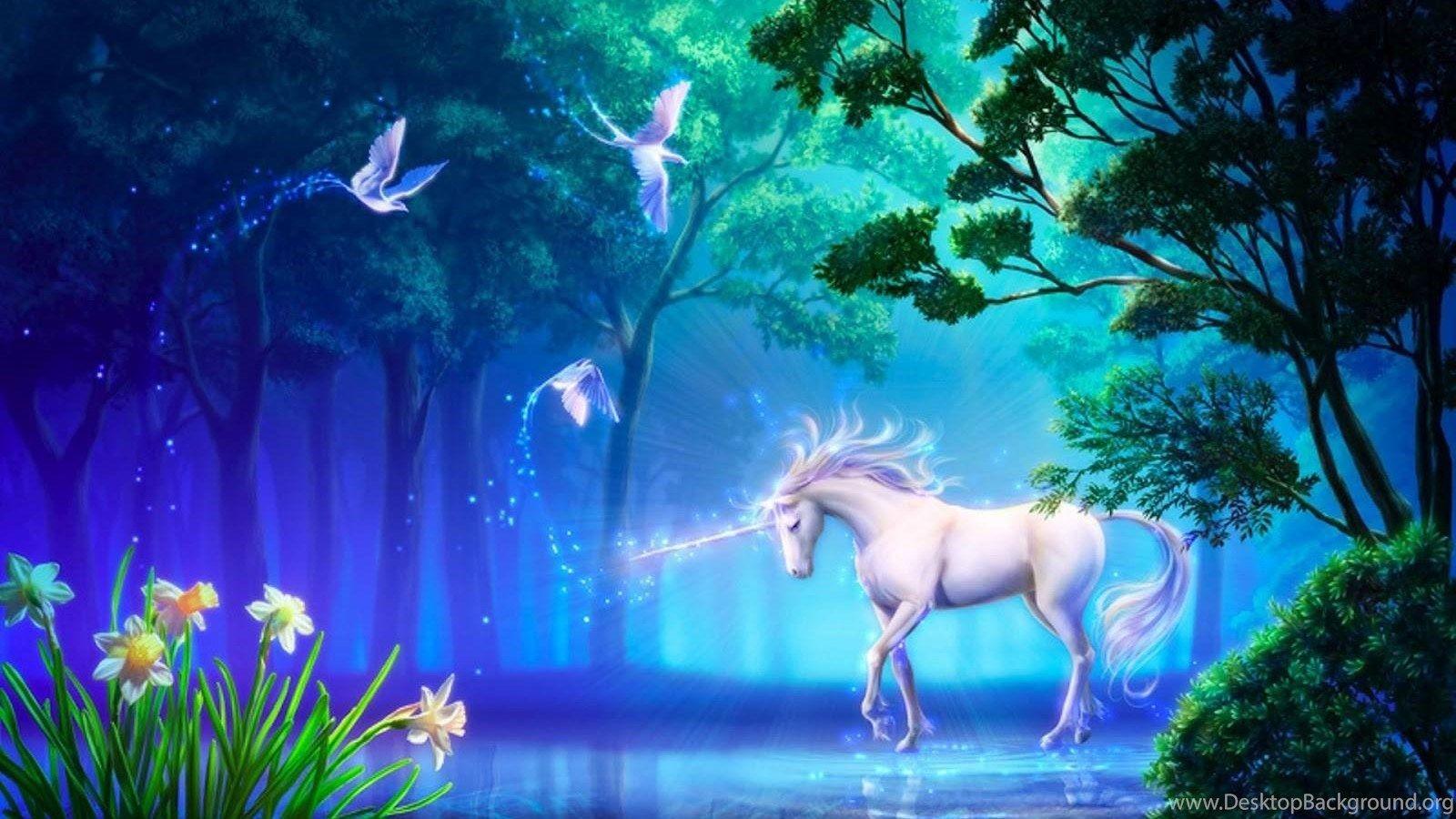 1600x900 Unicorn And Magic Birds Mythical Creatures Wallpaper Desktop Background