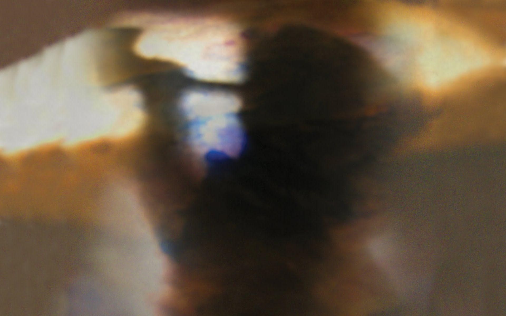 Animal Collective Wallpapers Top Free Animal Collective Backgrounds WallpaperAccess