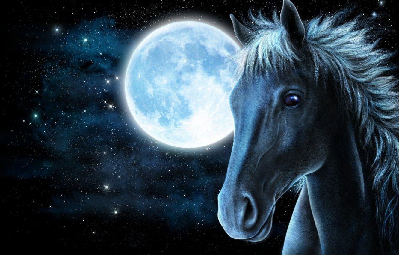 1332x850 Wallpaper face, stars, rendering, horse, the moon, horse image for desktop, section рендеринг