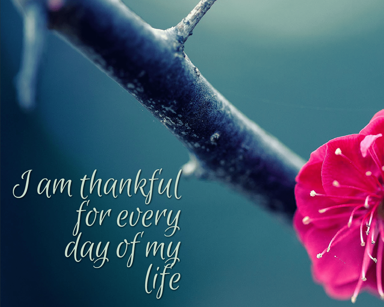 30 Daily Affirmations for Selflove  Free Wallpapers  Be My Travel Muse
