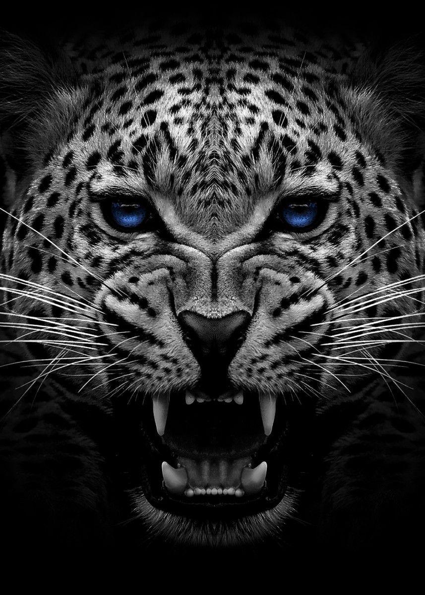 Angry Jaguar Wallpapers - Top Free Angry Jaguar Backgrounds -  WallpaperAccess