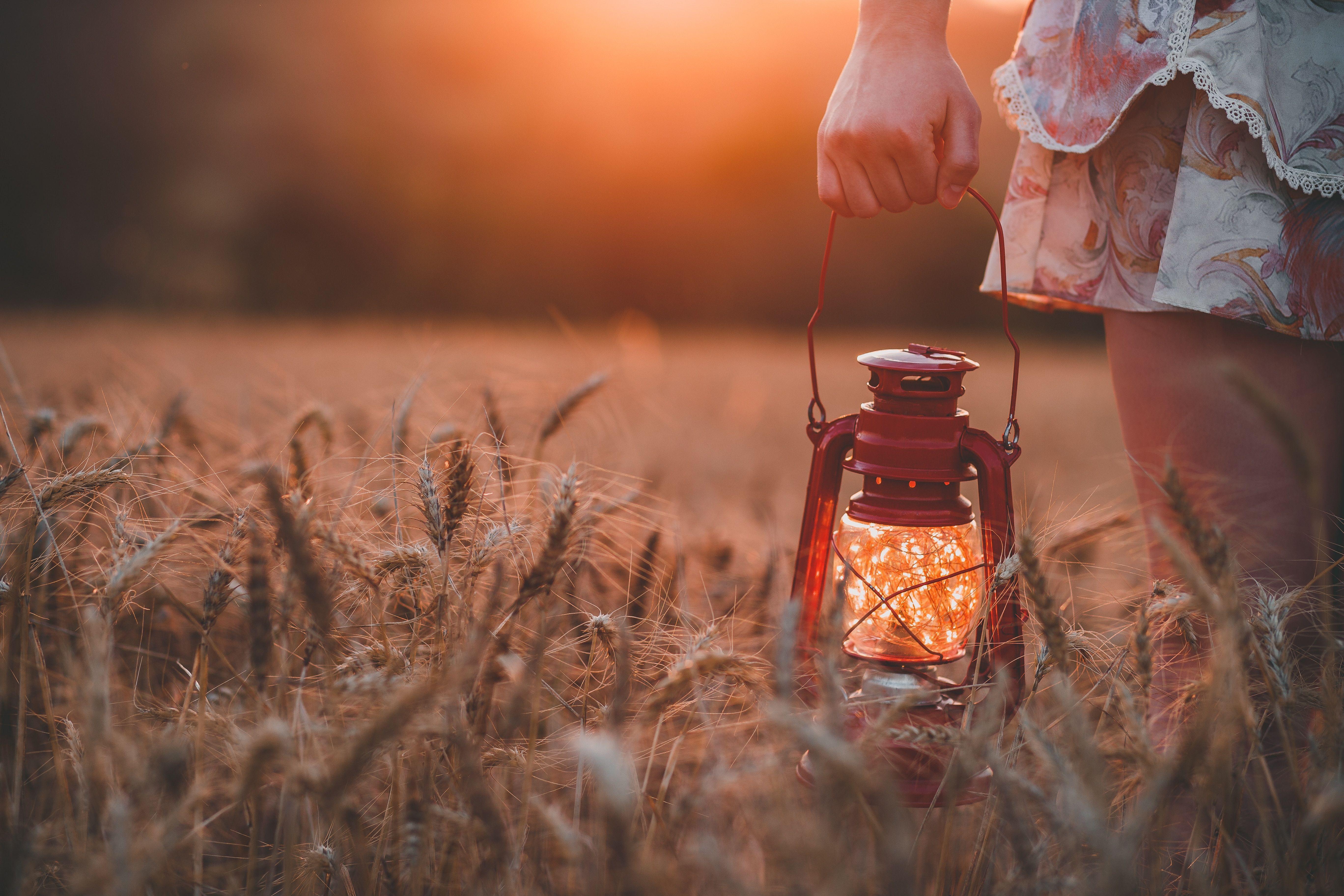 5472x3648 5472x3648 oil lamp, bokeh, orange, light, glow, sunrise, hand, wheat, sunset, blur, oat, farm, autumn, fall, field, lamp, sun, dress, Public domain image, lantern, fairy light