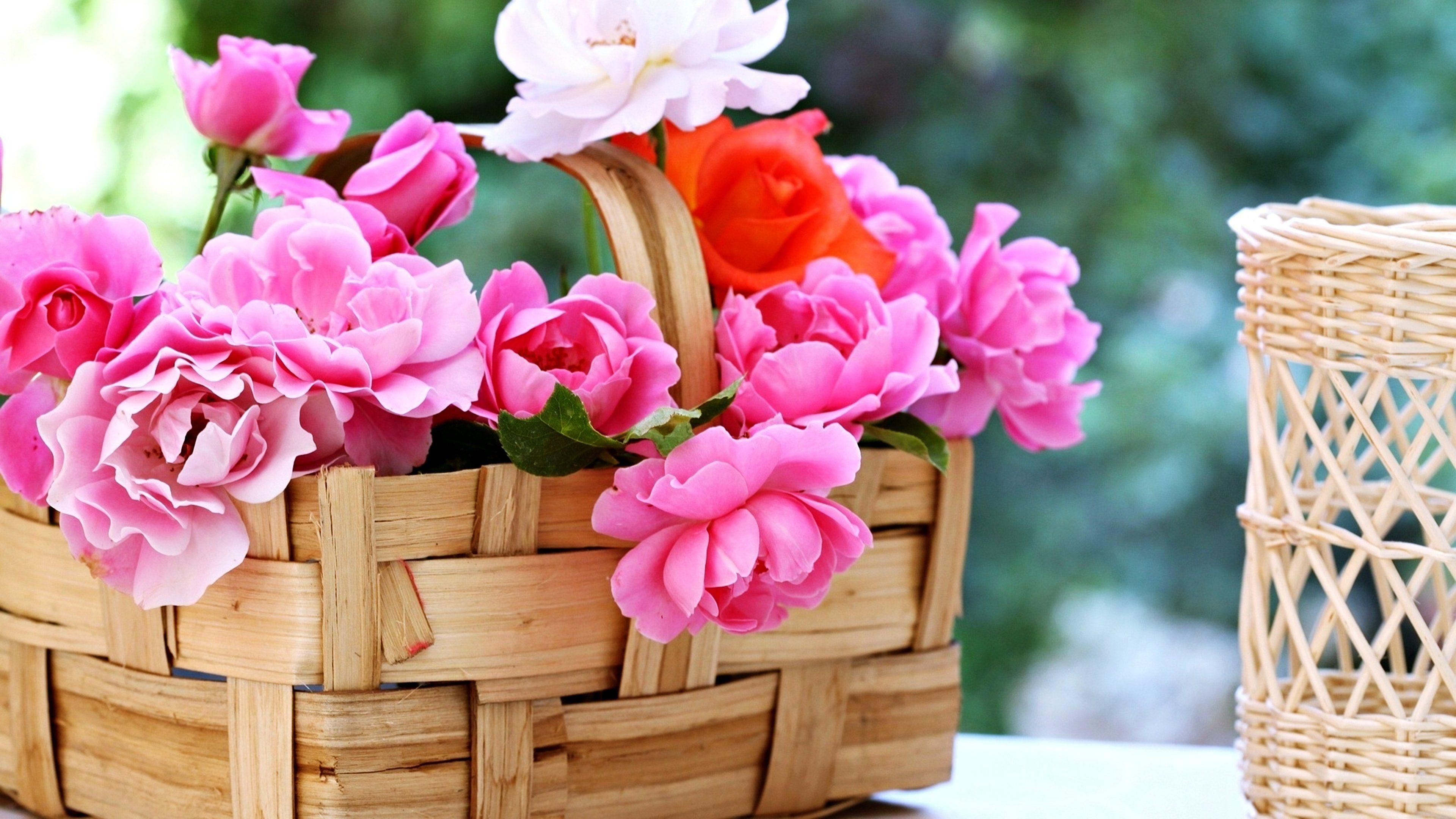 3840x2160 basket, Roses, Flowers, Gardens, Spring, Nature, Beauty, Love, Romance, Emotions, Life Wallpaper HD / Desktop and Mobile Background
