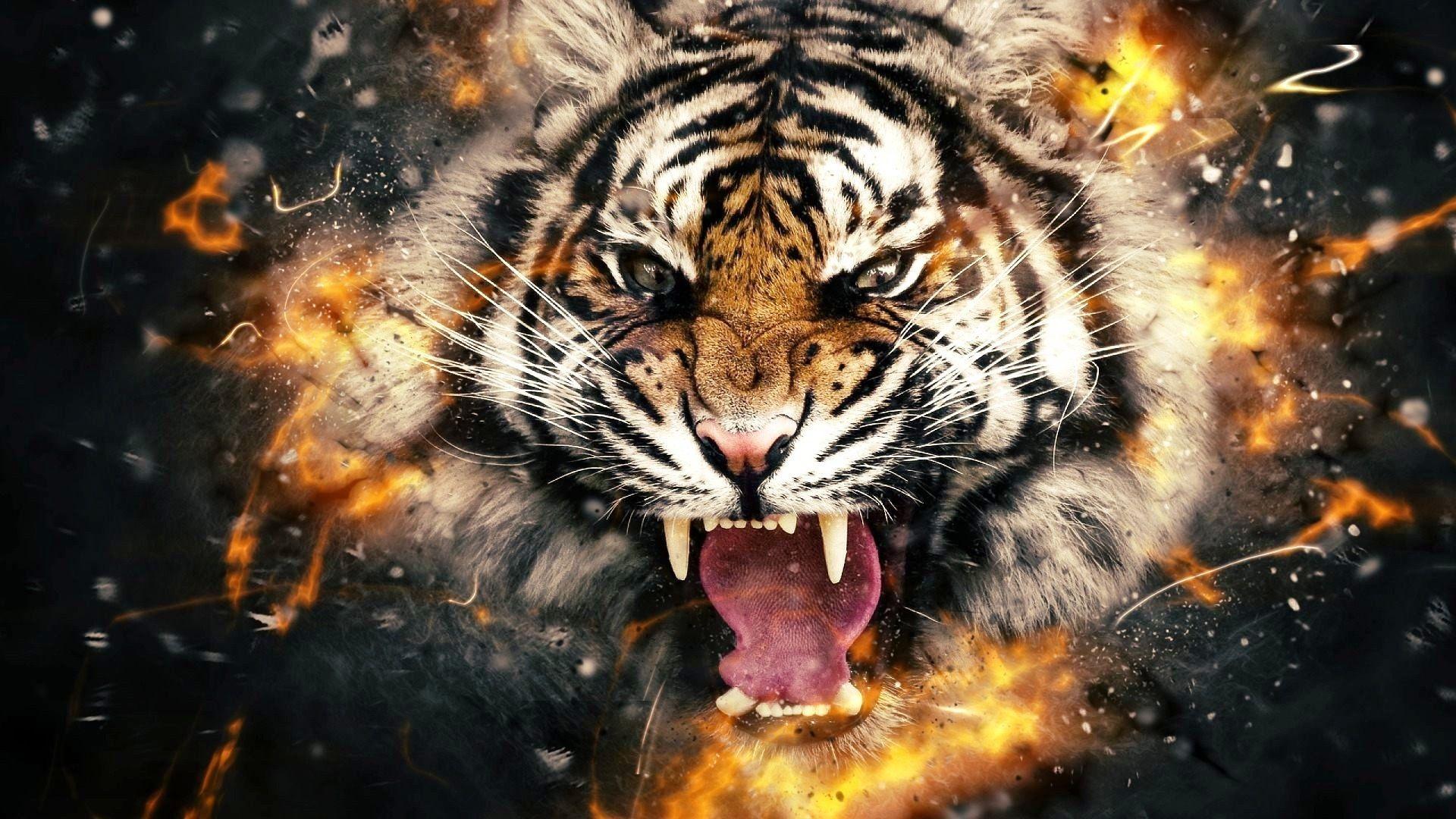 1920x1080 Picture New 3D Image Free Download