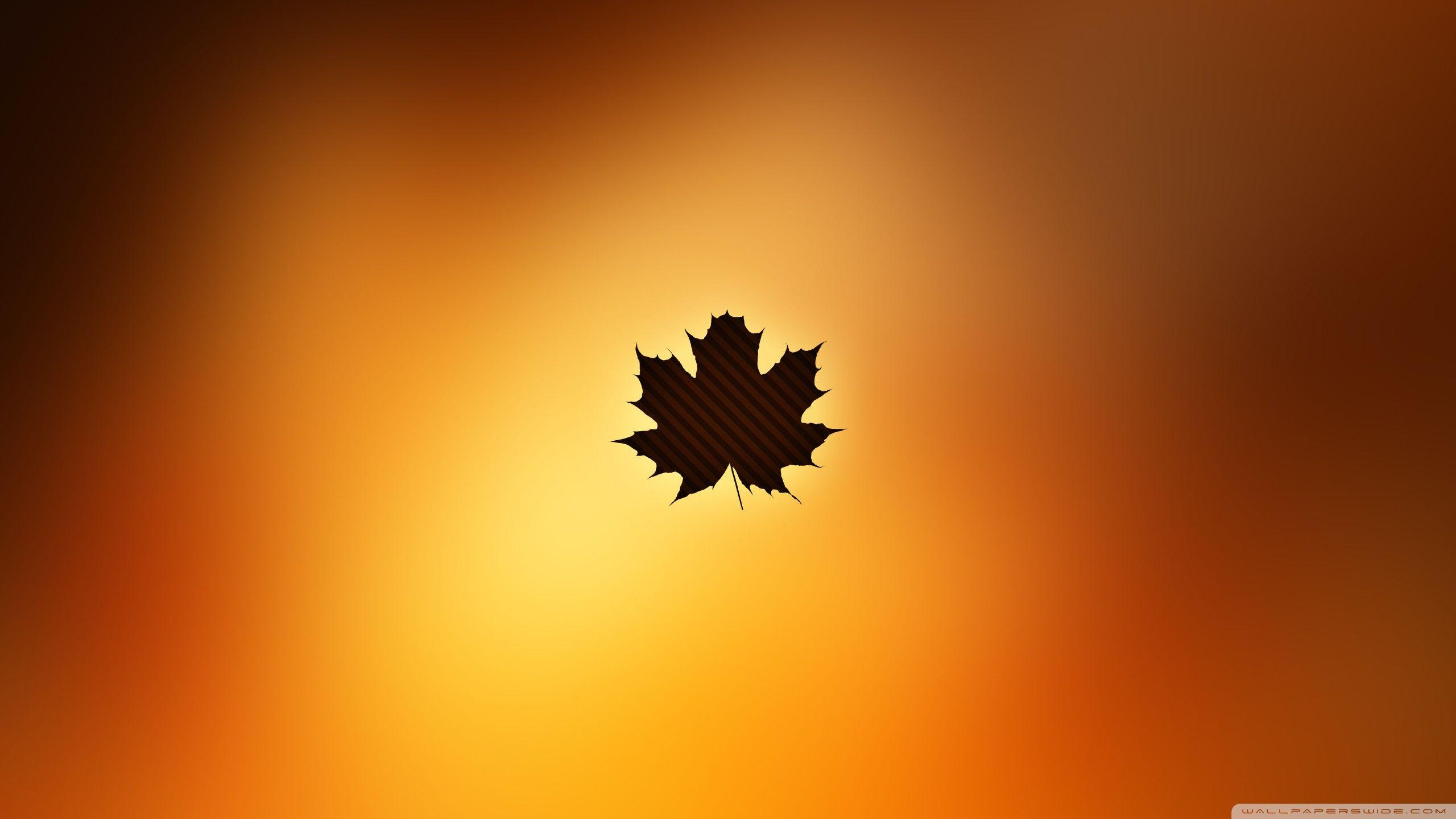 2560x1440 Oak Leaf Background Ultra HD Desktop Background Wallpaper for 4K UHD TV : Multi Display, Dual Monitor : Tablet