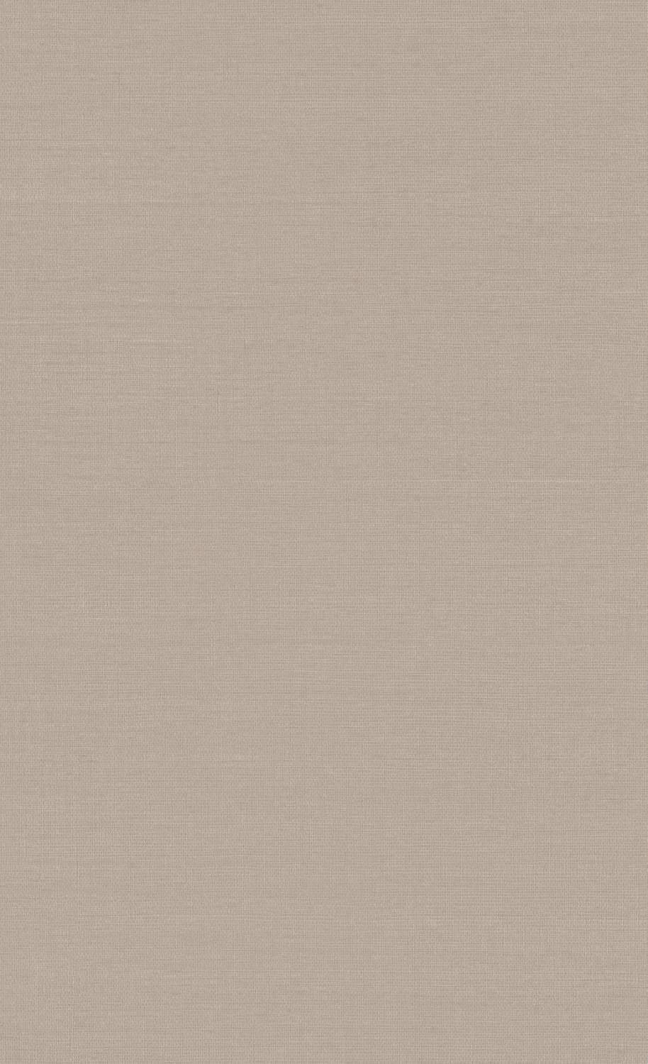 Brown and Beige Wallpapers - Top Free Brown and Beige Backgrounds