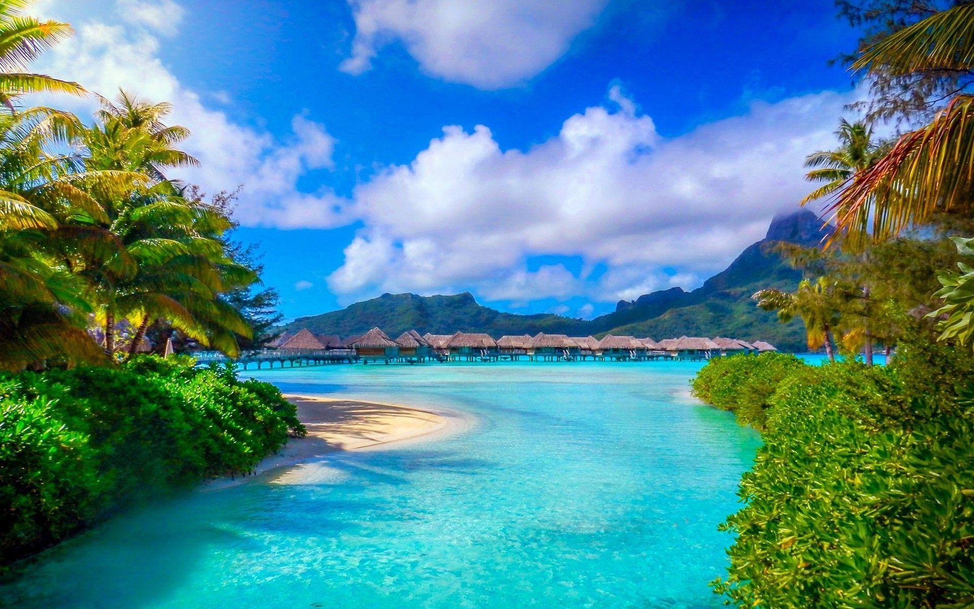 1920x1200 bora bora french polynesia nature landscape beach sea palm trees island resort summer tropical mountain wallpaper