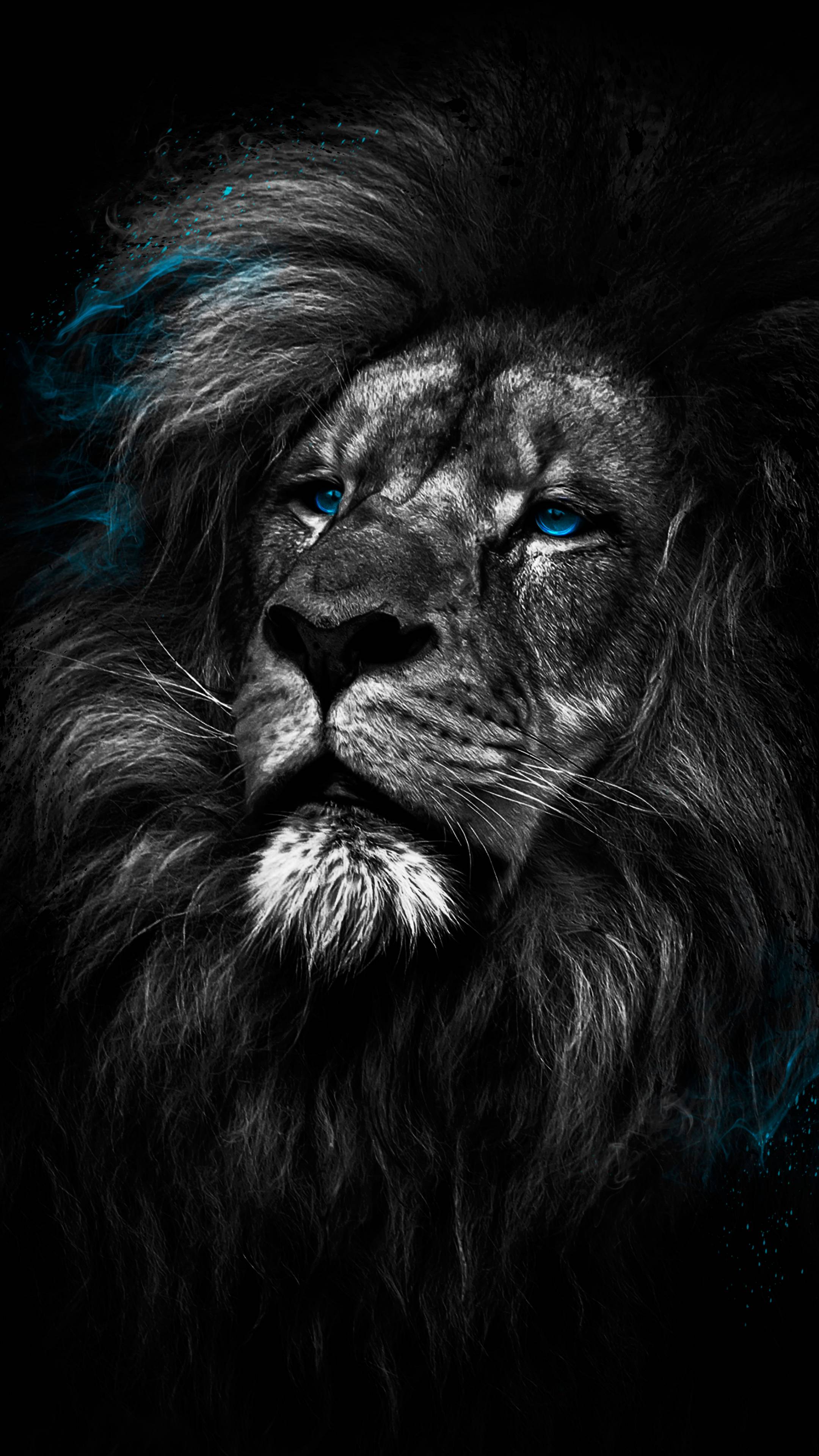 2160x3840 Lion Dark 4K Amoled Android Black Wallpaper