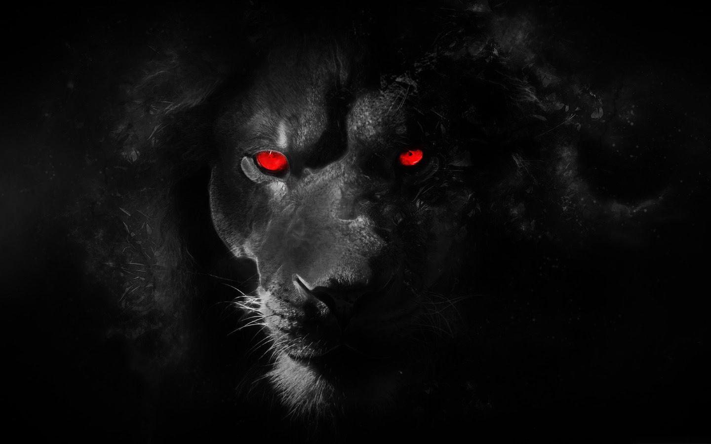 1440x900 Free download Black lion witch red eyes by ReconReno [1600x900] for your Desktop, Mobile & Tablet. Explore Black Lion Wallpaper. White Lion Wallpaper, Lion Wallpaper HD, Lion HD Wallpaper 1080p
