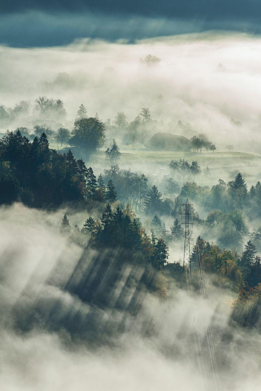 1000x1500 Morning Fog Picture. Download Free Image