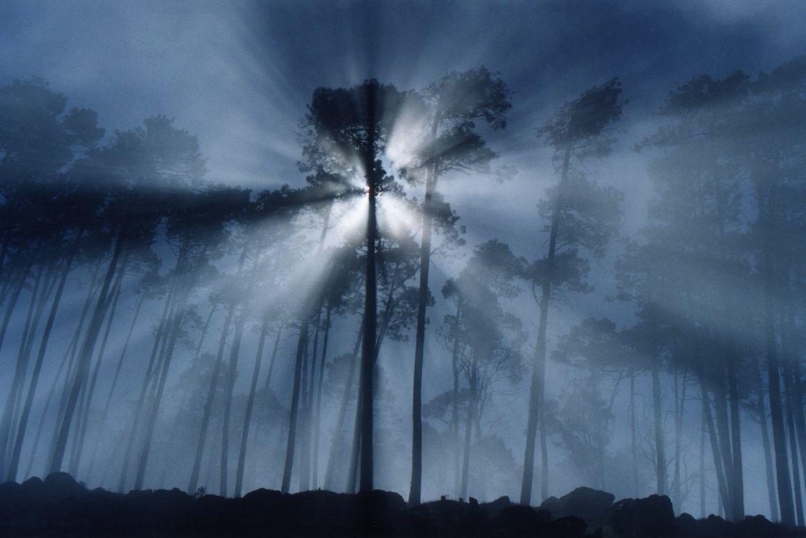 1158x774 Fog Background. Fog Wallpaper, Creepy Fog Wallpaper and Autumn Fog Wallpaper