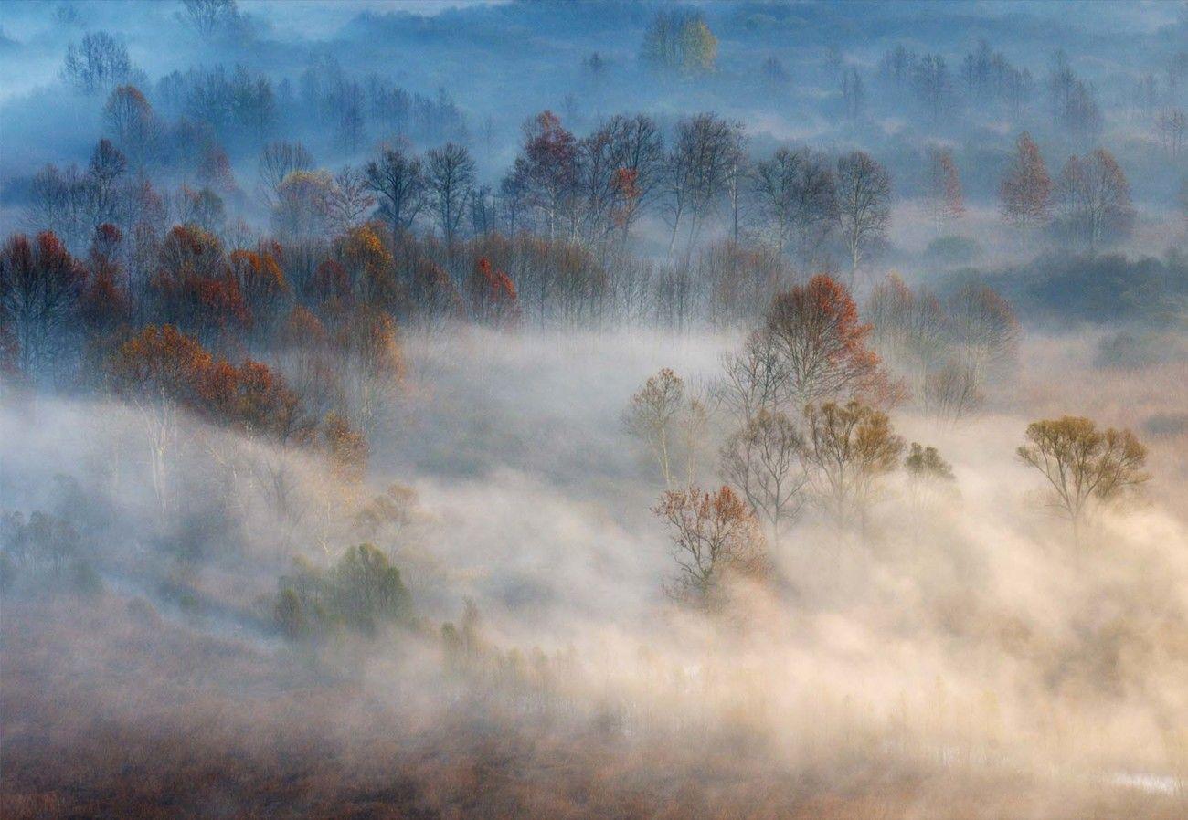 Early Morning Fog Wallpapers - Top Free Early Morning Fog Backgrounds ...