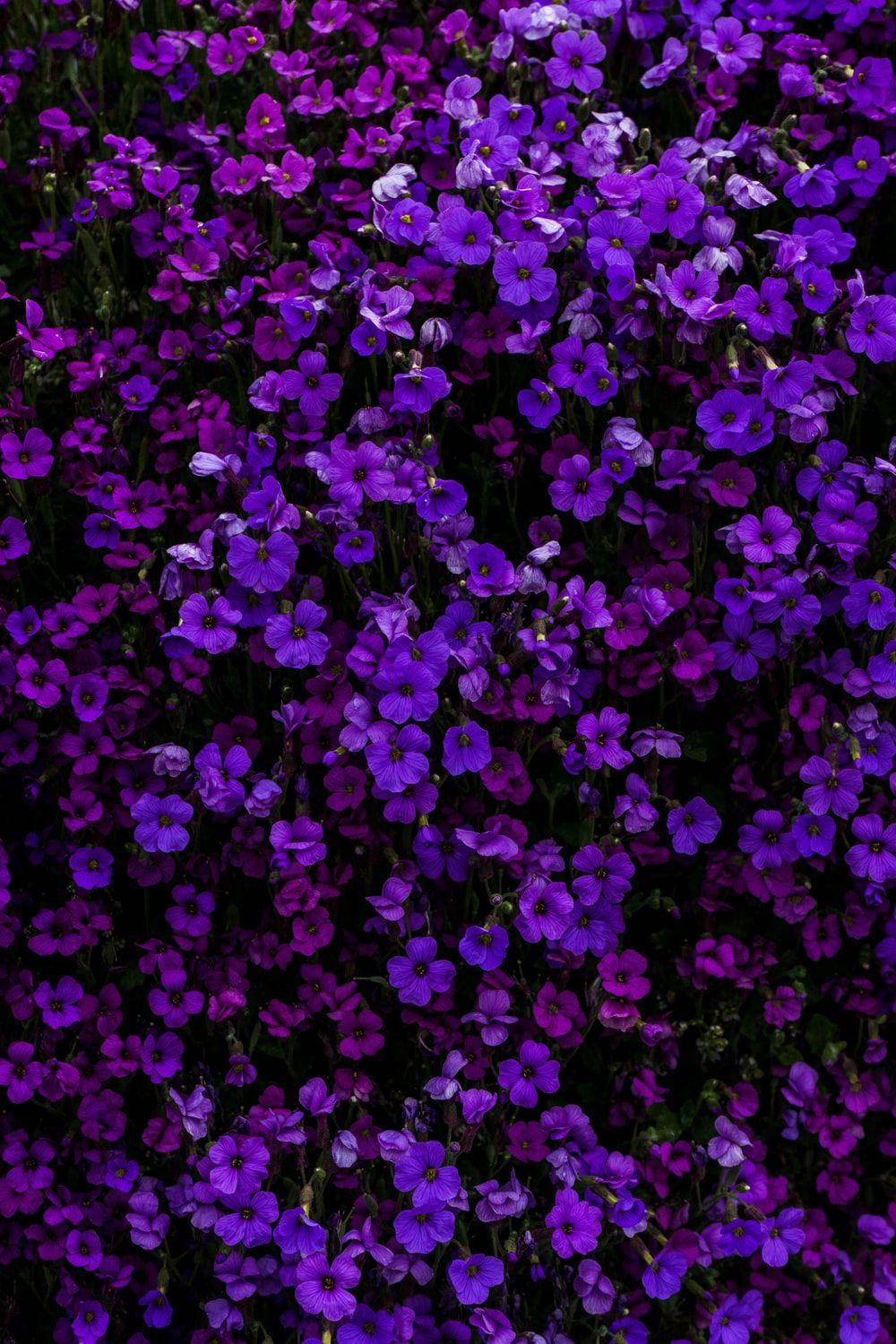 1000x1500 Black And Purple Aesthetic Wallpaper