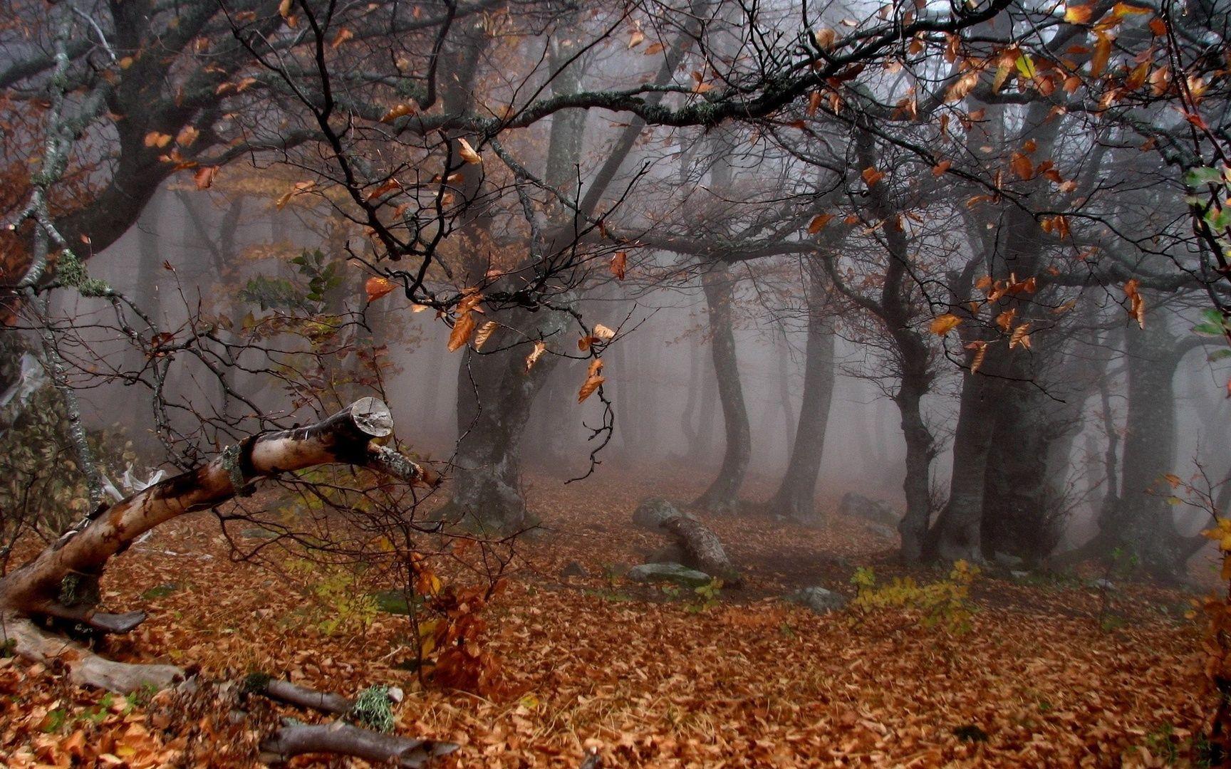 Creepy Fog Wallpapers - Top Free Creepy Fog Backgrounds - WallpaperAccess