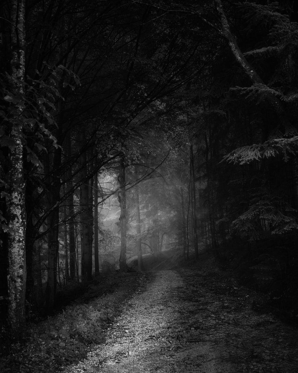 Creepy Fog Wallpapers - Top Free Creepy Fog Backgrounds - WallpaperAccess