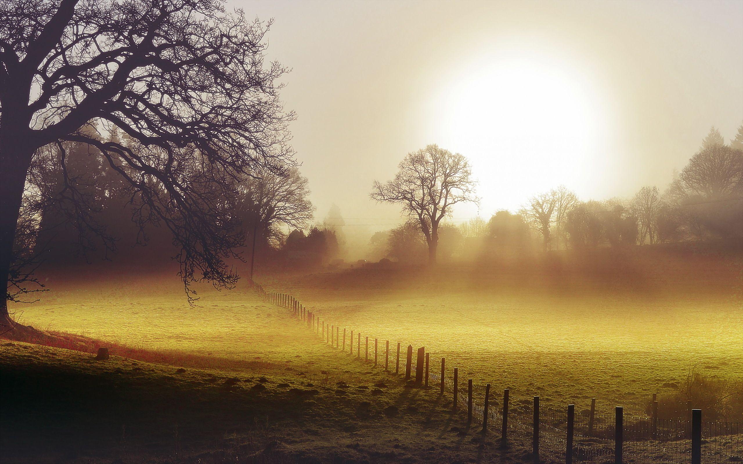 2560x1600 HD Morning Fog Background Wallpaper