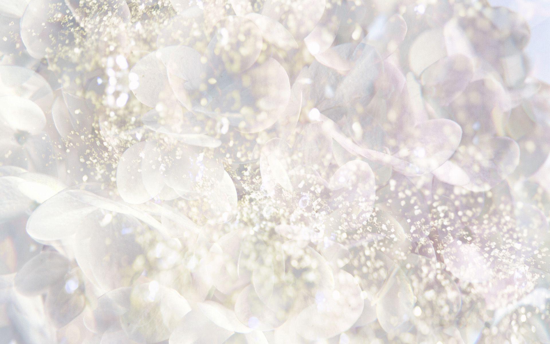1920x1200 Wallpaper art winter flower white. White flower background, Flower background, Flower art
