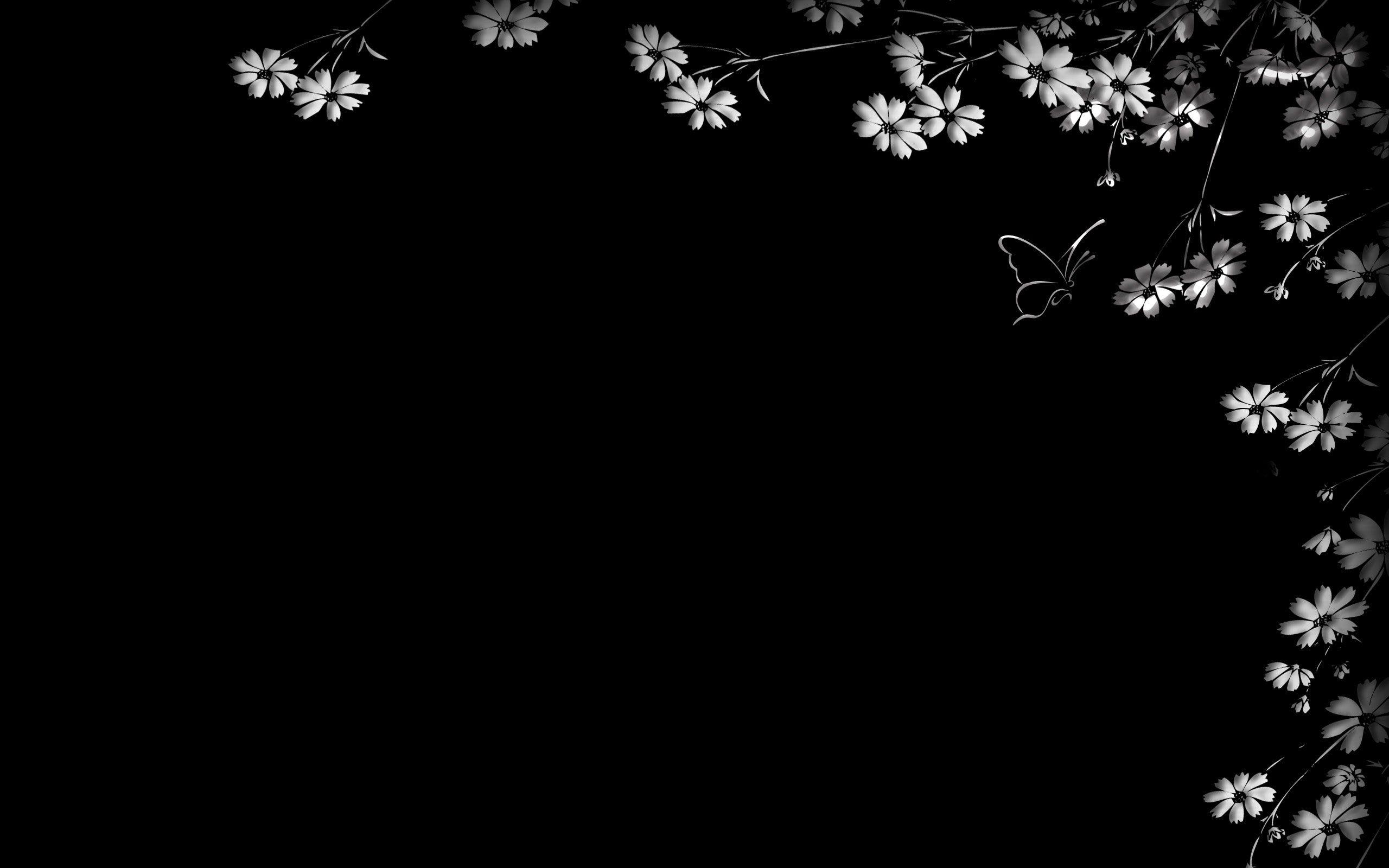 2560x1600 Black and White Floral wallpaperx1600