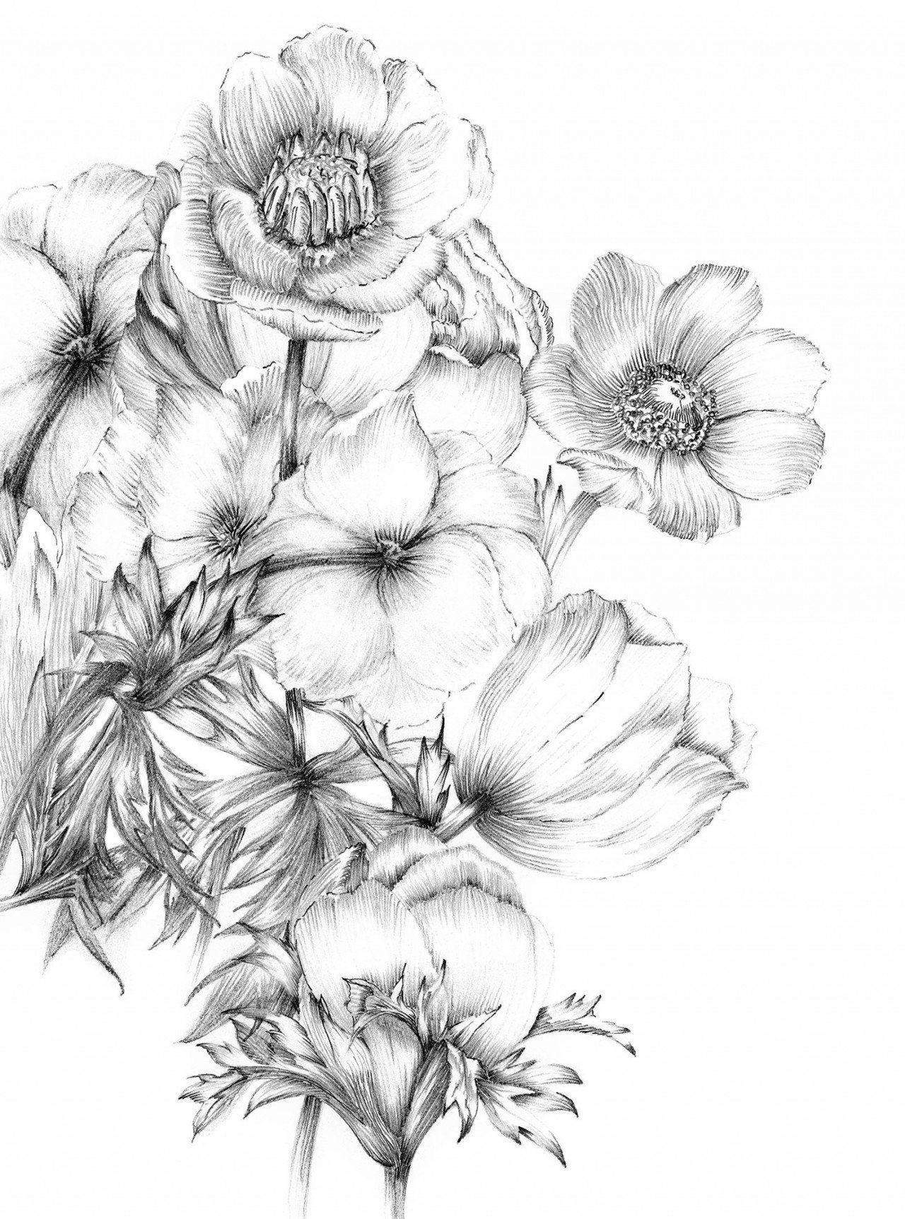 1280x1724 Blooming Flower Mural: Black and White Floral Wallpaper