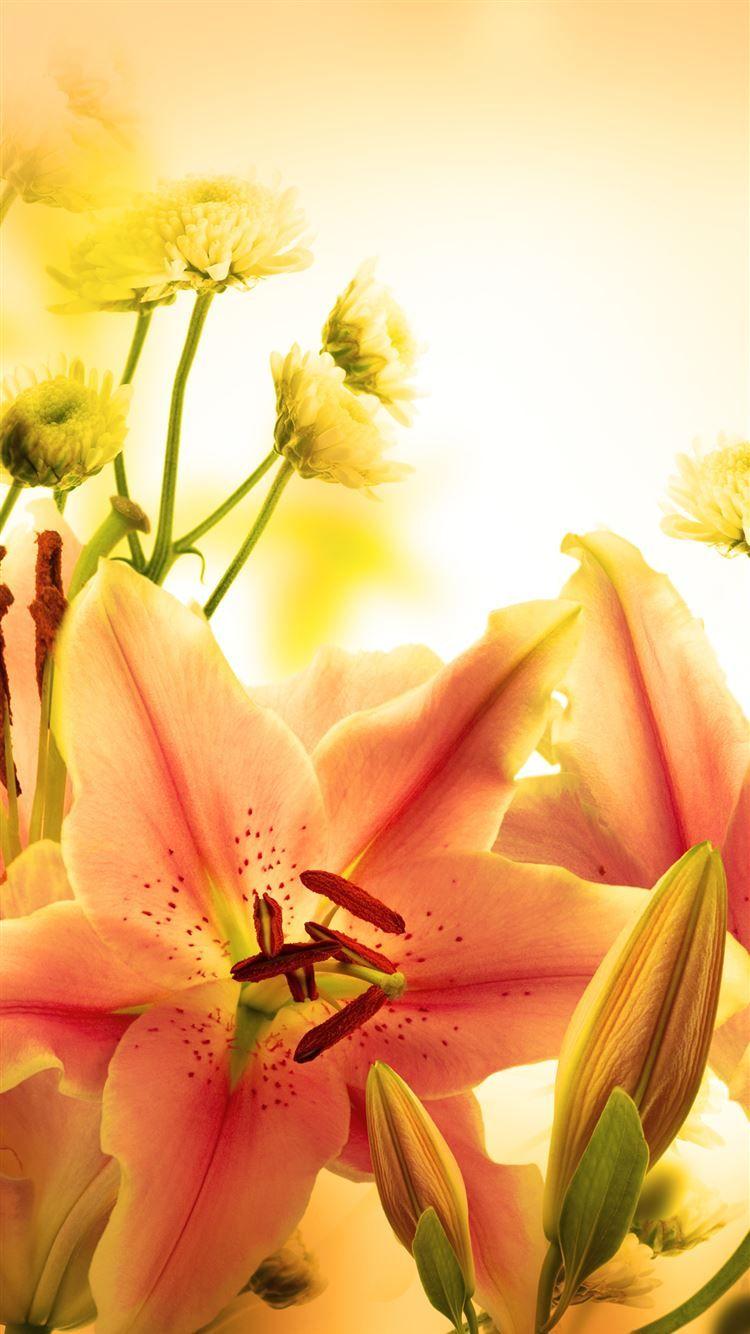 750x1334 Elegant Orange Lily iPhone 8 Wallpaper Free Download